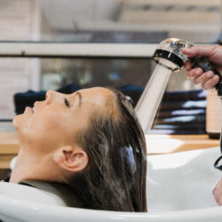 Blog: Healthy Scalp Guide